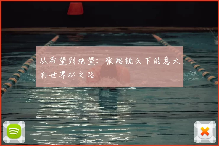 从希望到绝望:张路镜头下的意大利世界杯之路