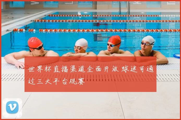 世界杯直播渠道全面开放 球迷可通过三大平台观赛