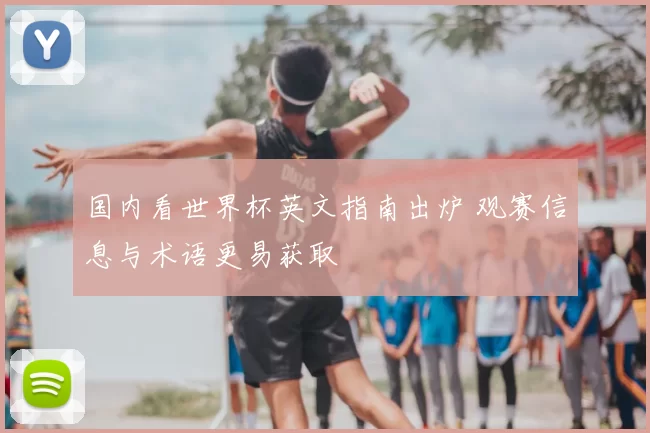 国内看世界杯英文指南出炉 观赛信息与术语更易获取