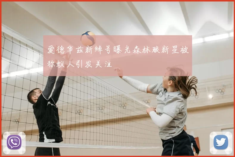 爱德华兹新绰号曝光森林狼新星被称蚁人引发关注
