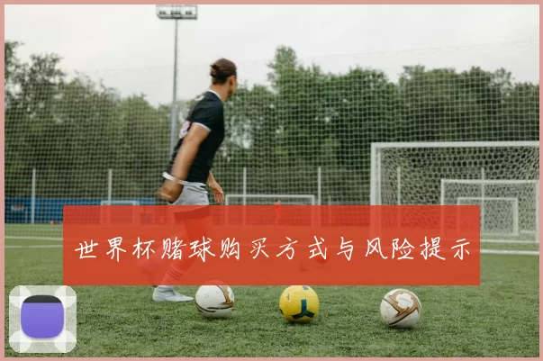 世界杯赌球购买方式与风险提示