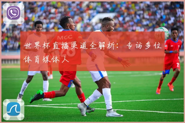 世界杯直播渠道全解析：专访多位体育媒体人