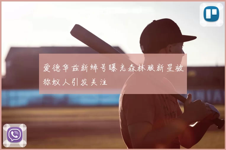 爱德华兹新绰号曝光森林狼新星被称蚁人引发关注