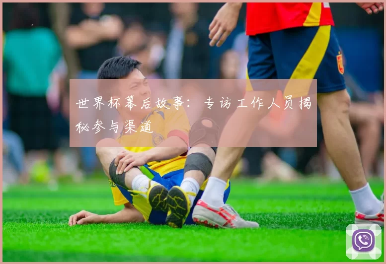 世界杯幕后故事：专访工作人员揭秘参与渠道